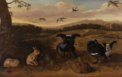 Black Game, Rabbits, and Swallows in a Park